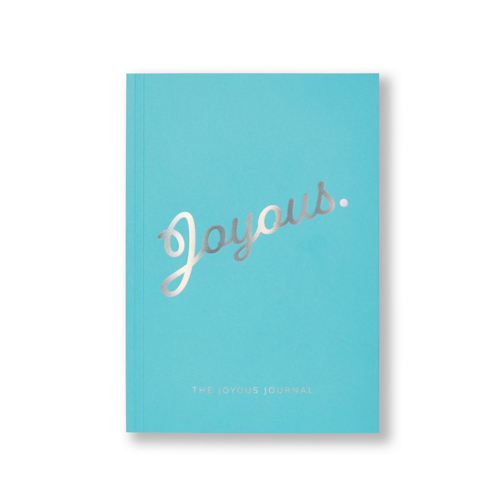 Ziggy, Turquoise Dream, Cover Shot, The Joyous Journal.