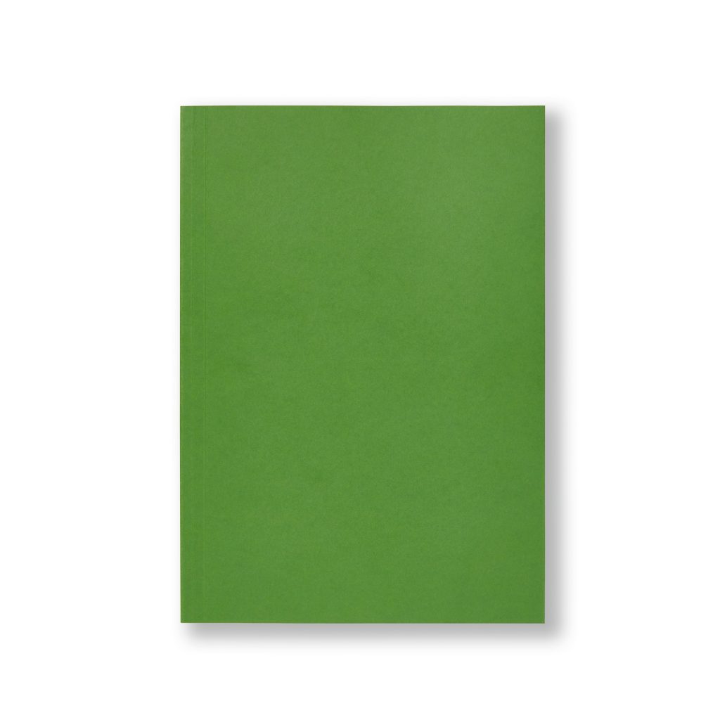 Stevie
The Joyous Journal
Back cover